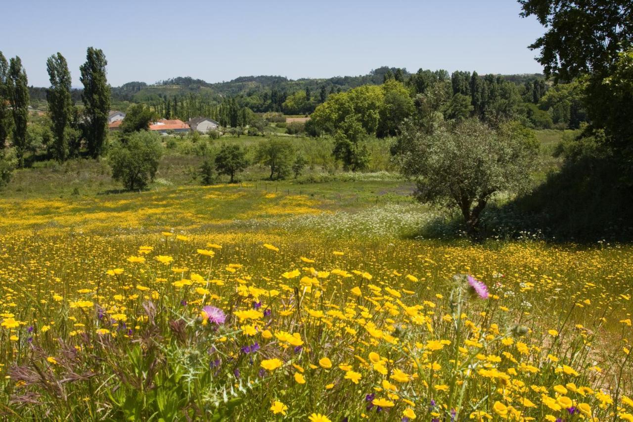 Quinta Da Alcaidaria Mor Villa Ourém Exteriör bild