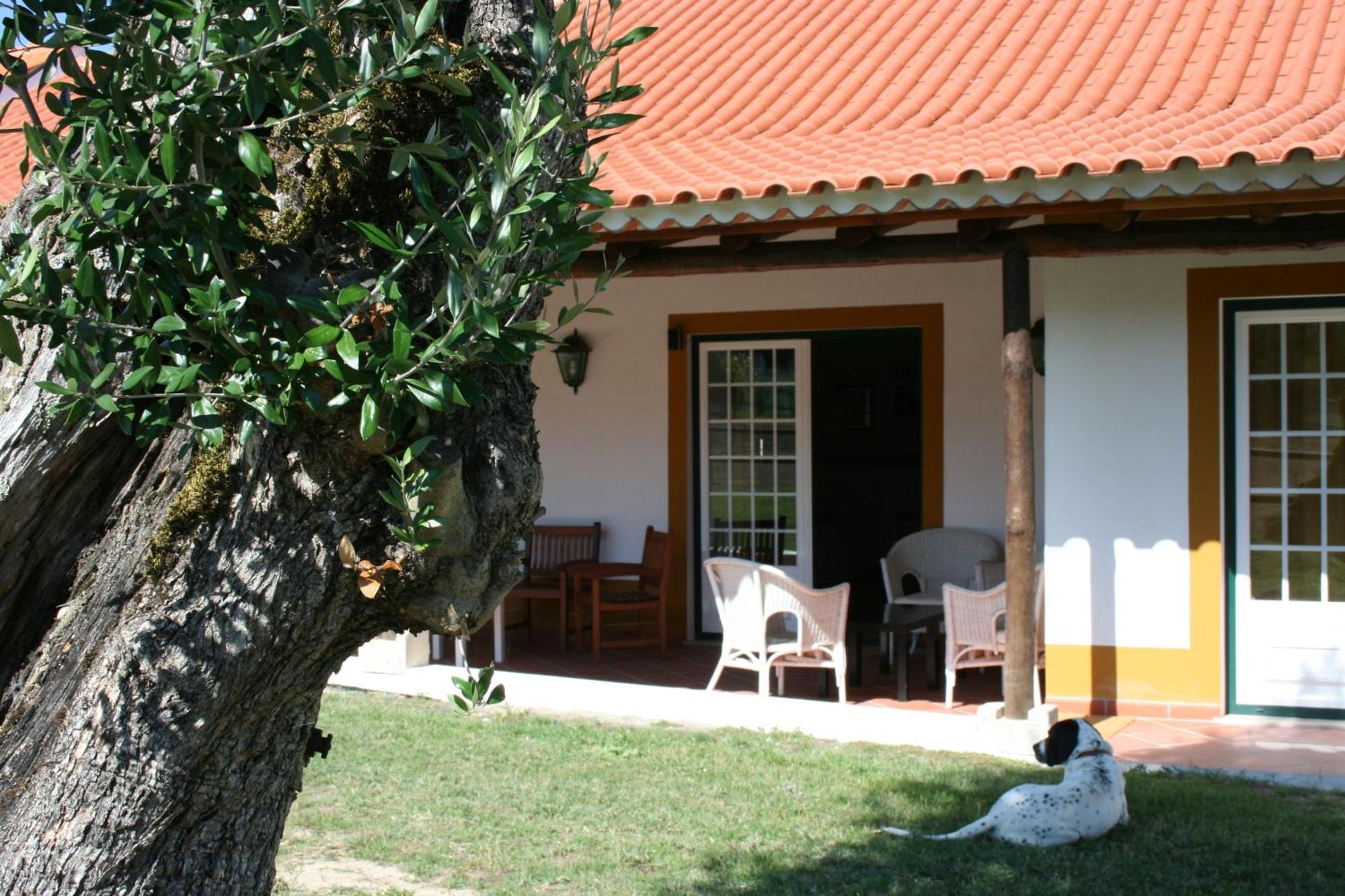 Quinta Da Alcaidaria Mor Villa Ourém Exteriör bild