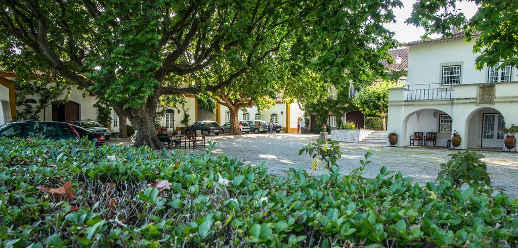 Quinta Da Alcaidaria Mor Villa Ourém Exteriör bild